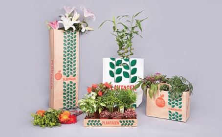Affordable, sturdy and brand-enhancing: machine-made paper bags from Swedbrand